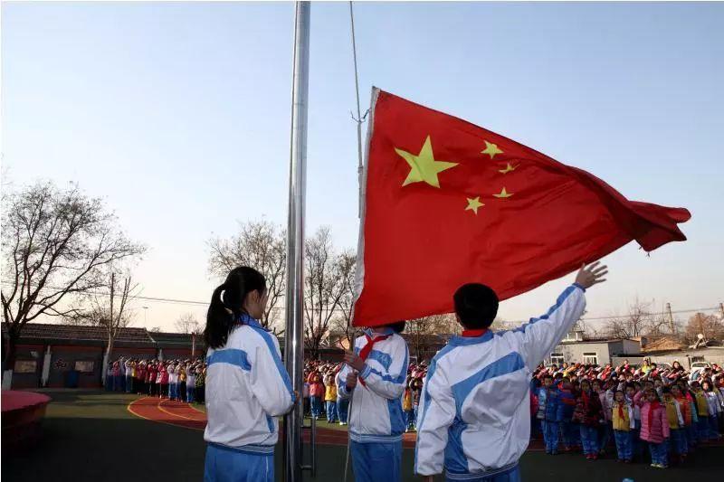 狗狗不爱吃狗粮，该怎么办？游戏画面
