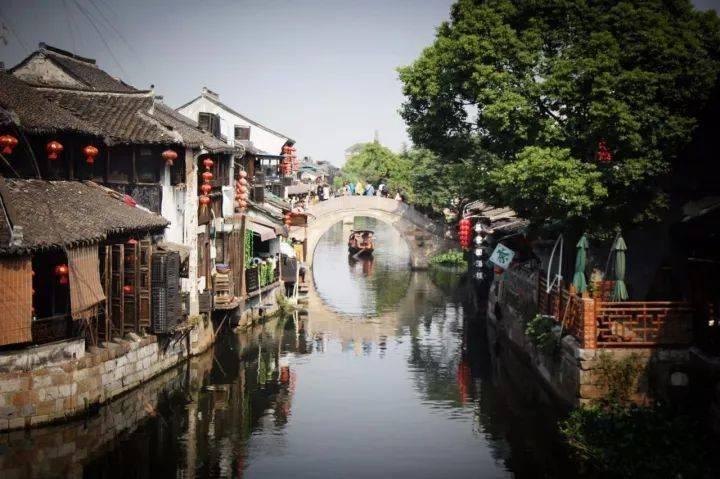 植物大战僵尸无炮无尽模式最佳阵容