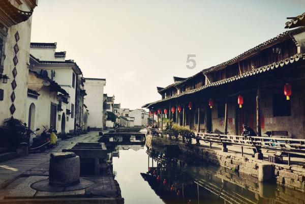 逃离白鸽之森